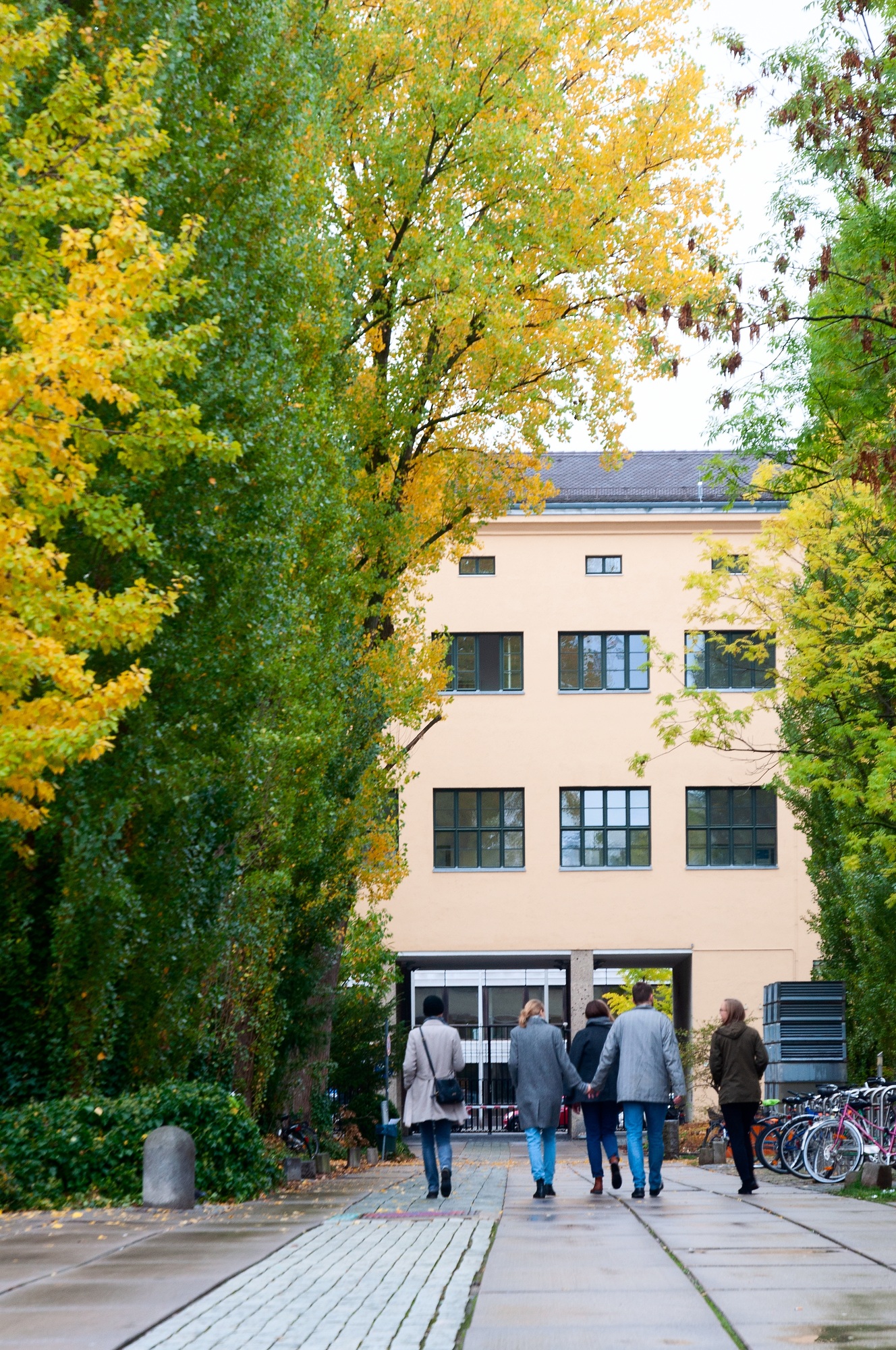 A group of friends including a young couple are walking in a university campus.